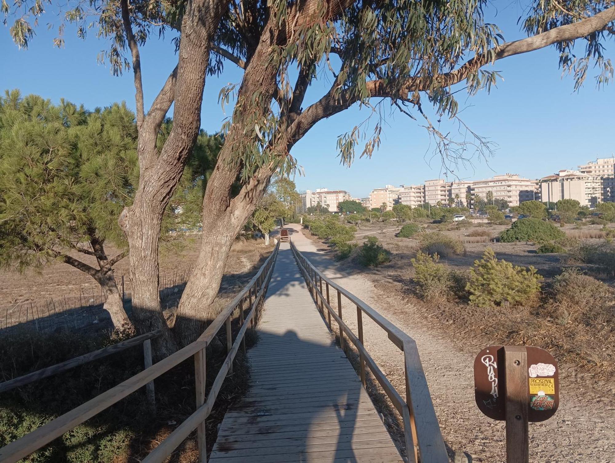 Bonito Apartamento 150 M De La Playa La Mata La Mata  Exterior foto